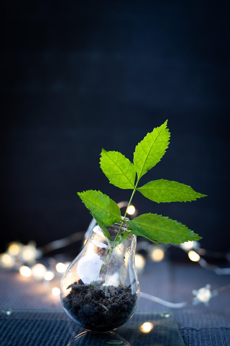 Upcycled Bottles